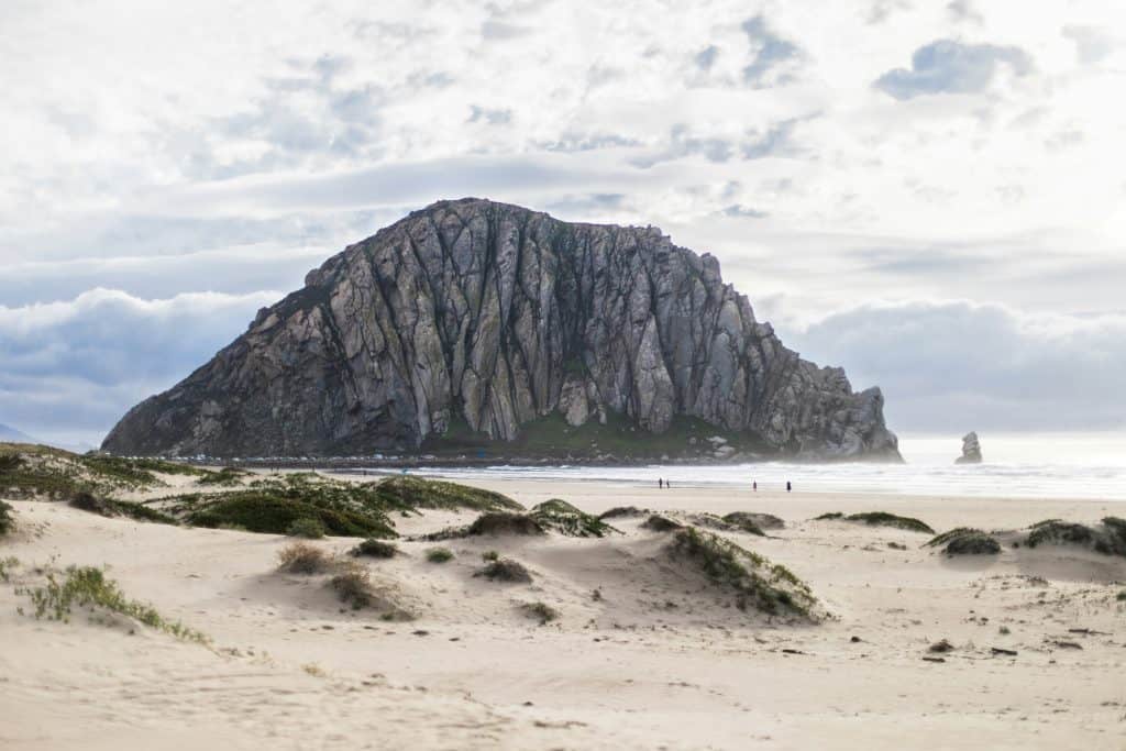 A group of people walking along the beach in Morro Bay, enjoying the serene coastal scenery with the iconic Morro Rock in the background, emphasizing relaxation and connection with nature.