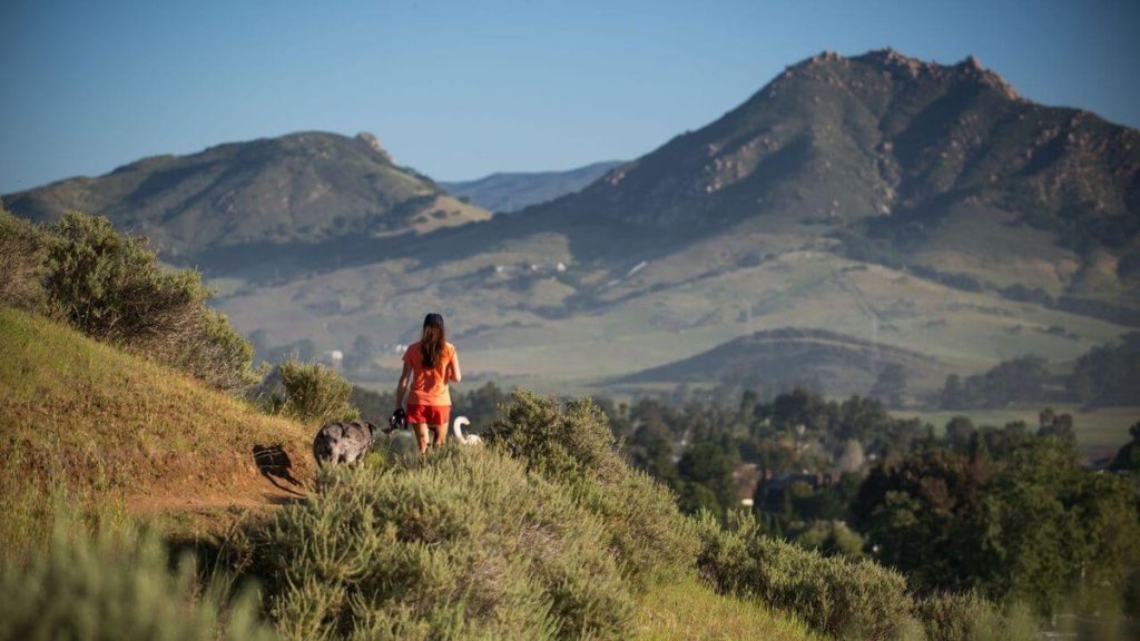 Runner on trail at Irish Hills Natural Reserve in San Luis Obispo with mountain views in the background